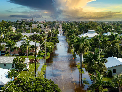 Summer flooding creates dangerous driving conditions that contribute to car accidents across Tampa and Florida.